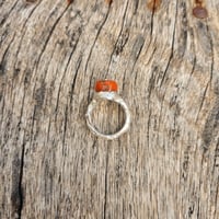 Image 5 of Coral Bead, US 9