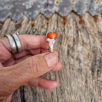 Image 3 of Coral Bead, US 9
