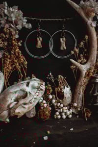 Image 1 of Toe bones