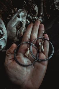 Image 5 of Toe bones