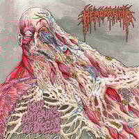 HEMORRHOID - Raw Materials Of Decay (12" LP on Black Vinyl)