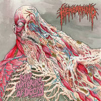  	 HEMORRHOID - Raw Materials Of Decay (12" LP on Black Vinyl)