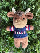 Image 1 of Billy the Buffalo