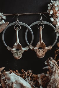 Image 3 of Vertebra hoops 