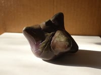 Image 3 of Tiny Brown Creature - Air Dry Clay Figurine - FREE SHIPPING