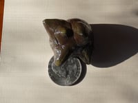 Image 6 of Tiny Brown Creature - Air Dry Clay Figurine - FREE SHIPPING