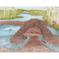 Beaver Lodge