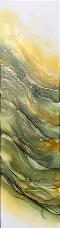 Image 1 of Apricity 1