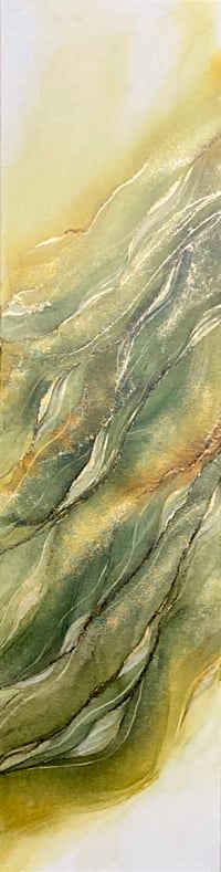 Image 1 of Apricity 2