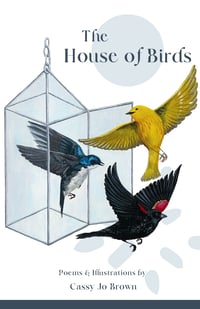 Image 2 of The House of Birds