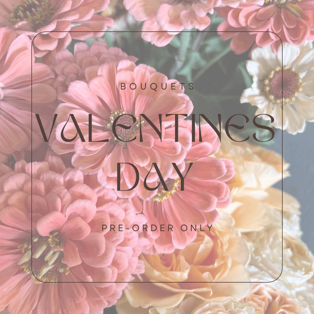 Image of Valentine's Day  