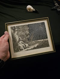 Image 3 of "𝕱𝖊𝖉 𝖇𝖞 𝕽𝖆𝖛𝖊𝖓𝖘"  1800's Bible Page & Preserved Web