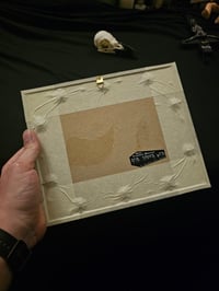 Image 6 of "𝕱𝖊𝖉 𝖇𝖞 𝕽𝖆𝖛𝖊𝖓𝖘"  1800's Bible Page & Preserved Web