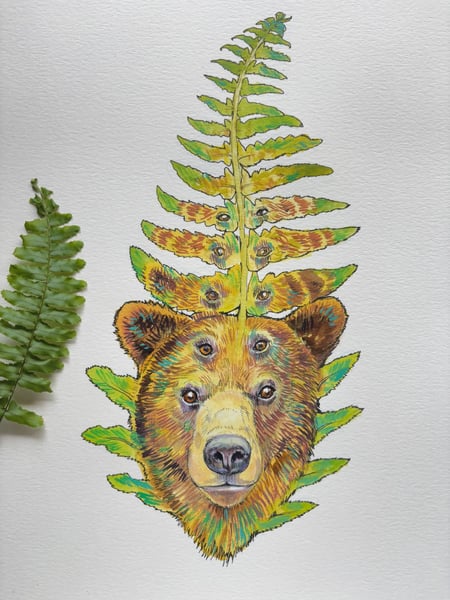 Image of Bear Fern - Original