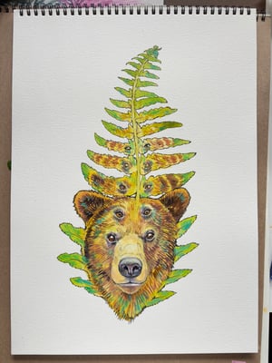 Image of Bear Fern - Original