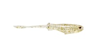 Image 3 of PINTAIL 80 (6pk)