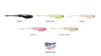 Image 5 of PINTAIL 80 (6pk)