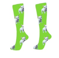 French bulldog compression socks 