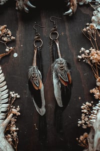 Image 5 of Feathers