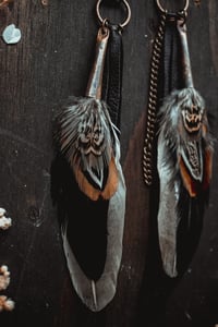 Image 3 of Feathers