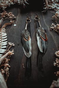 Image 8 of Feathers