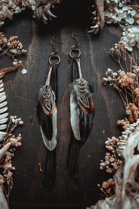 Image 9 of Feathers