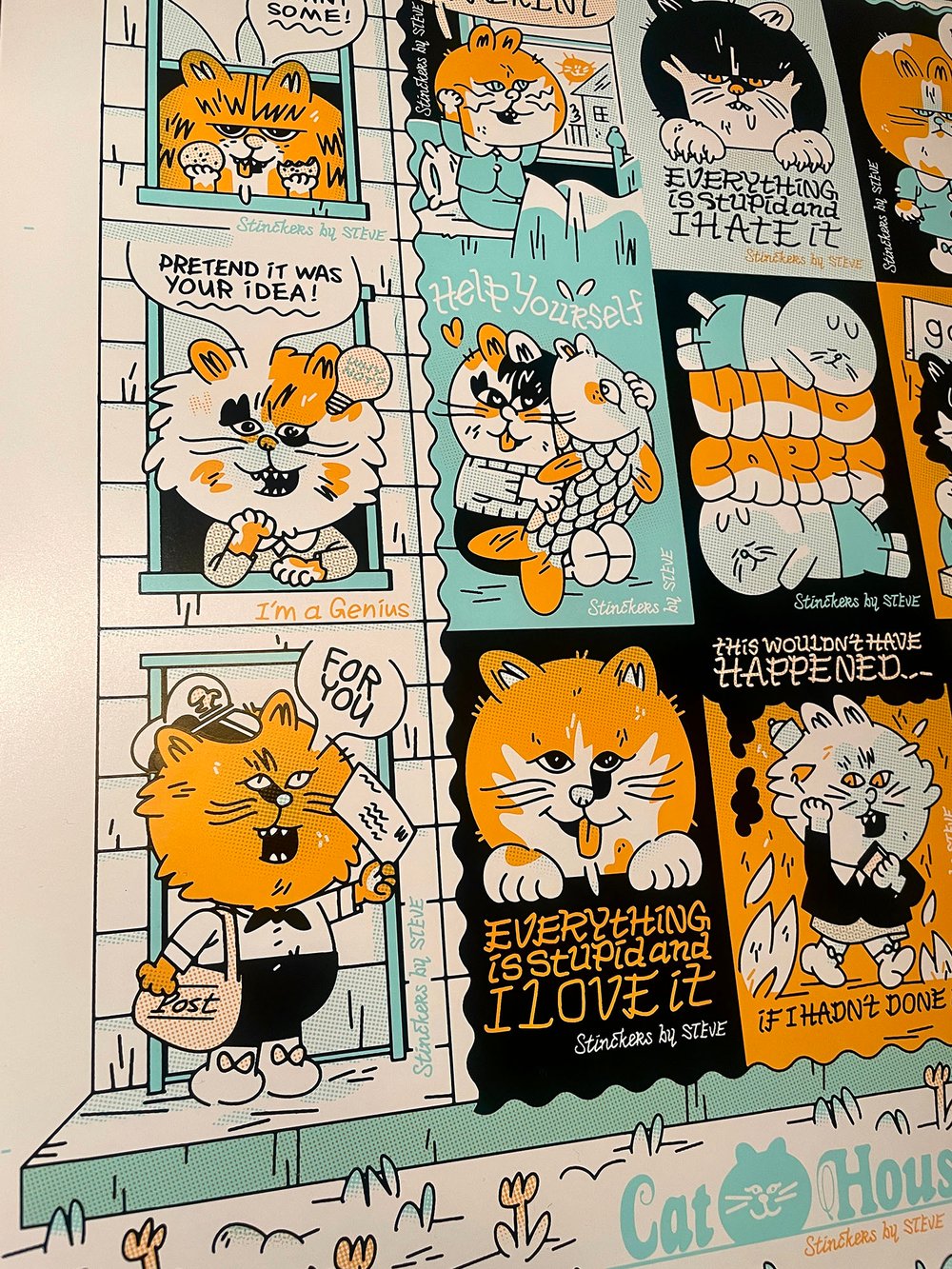 Cat (>^.^<) House  by STEVE