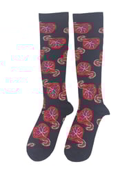 2 pairs of arrière-faix socks 
