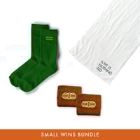 Small Wins Bundle