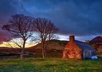 Lettermore Morning Glory exclusive print