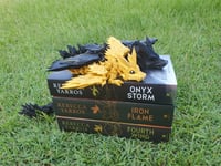 Image 2 of " Fourth Wing Dragon " Set