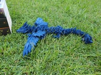 Image 3 of " Fourth Wing Dragon " Set