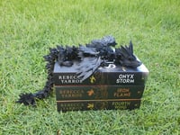 Image 4 of " Fourth Wing Dragon " Set