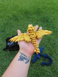 Image 8 of " Fourth Wing Dragon " Set