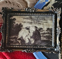 Bull picture 
