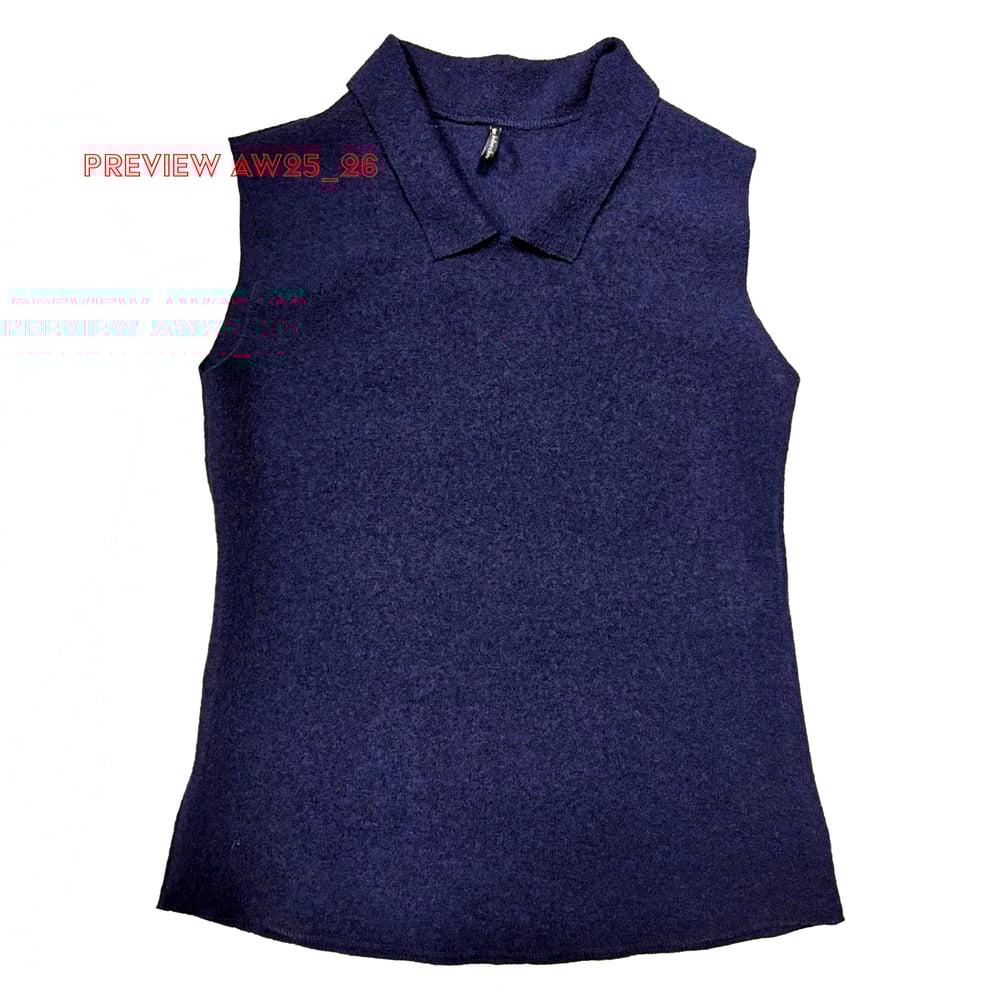 Image of BOILED WOOL BLOUSE COLLAR TOP HH025_024