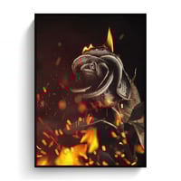 Dollar rose