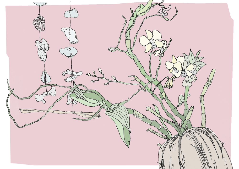 Image of Floral Print Orchid Illustration 