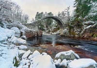 Carrbridge in Winter exclusive print