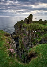 Natures Coastal Retreat exclusive print