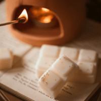 Image 3 of Scented Wax Snap Bars by Meleri and Maple Co