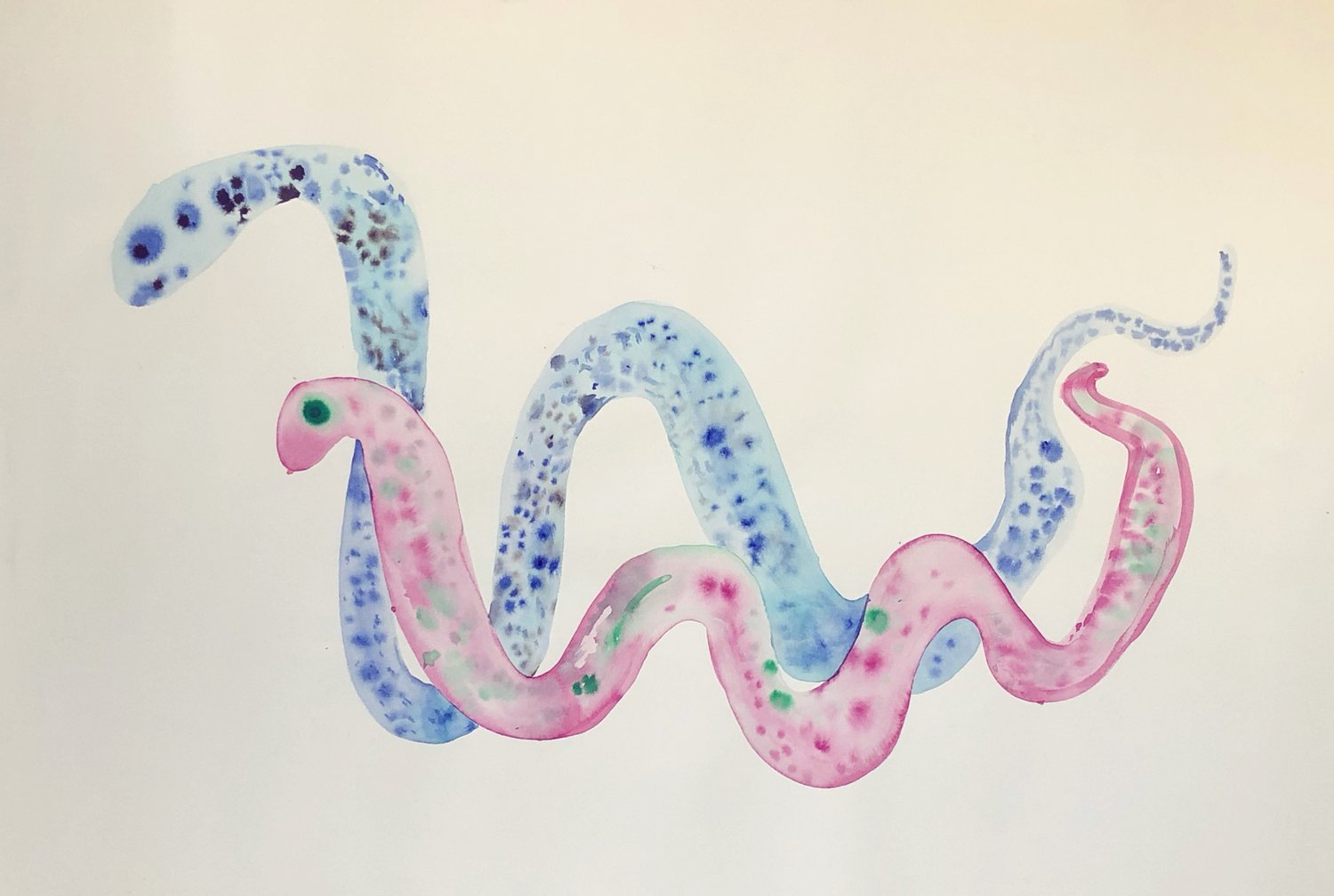 Image of Pink snake blue snake on paper 