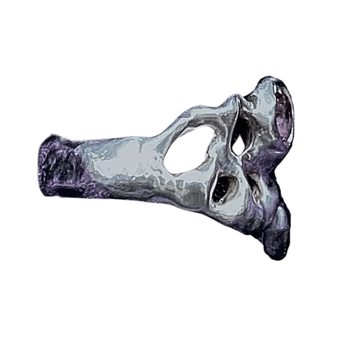 Image of Entanglement Ring