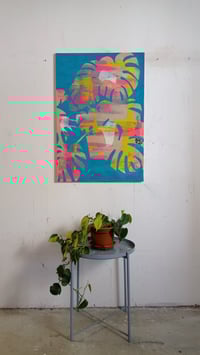 Image 2 of "Monstera Whisper" 