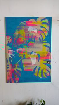 Image 1 of "Monstera Whisper" 