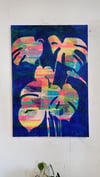 "Monstera Whisper" 2