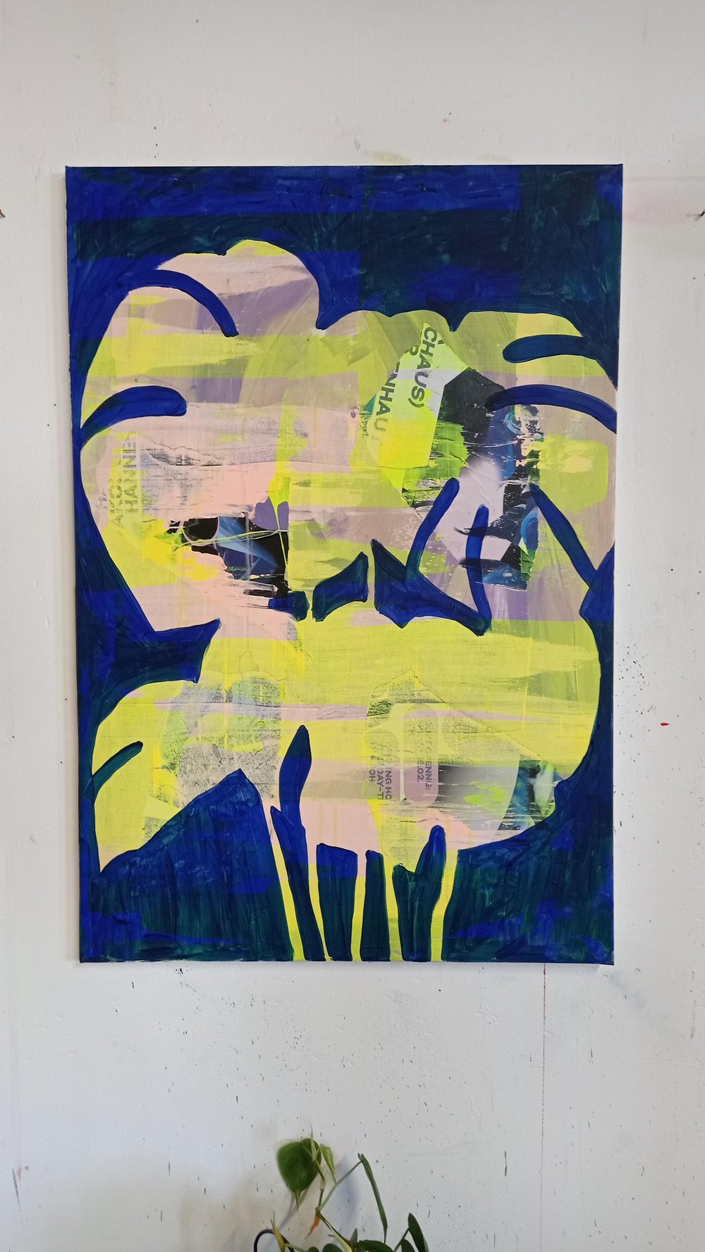 "Monstera Whisper" 3