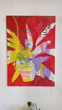 Image 1 of "The Space Between Leaves"