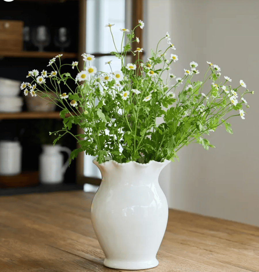 Image of Rope Vase