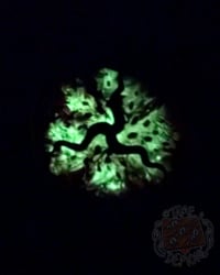 Image 3 of Tri Eye Pin Mini